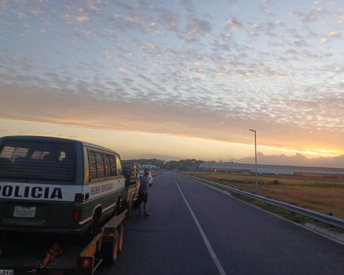 Knight About Carousel 14